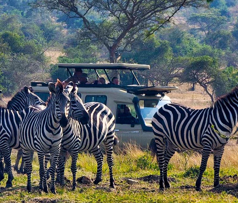 3-days-lake-mburo-national-park-safari