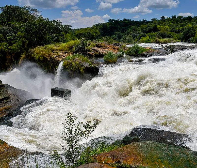 4-days-murchison-falls-safari-uganda