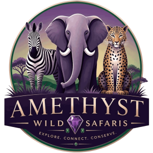amethyst-wild-safaris-logo