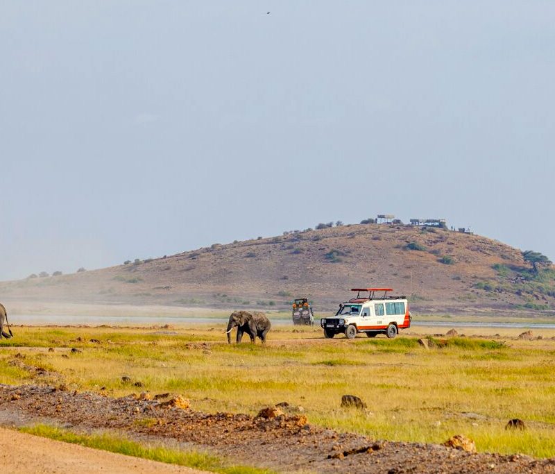 10-days-kenya-luxury-safari-holiday