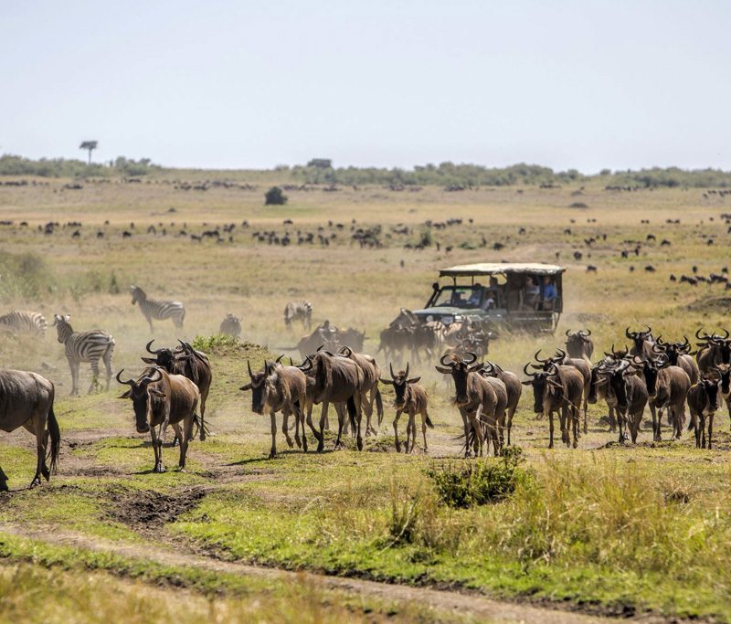 5-days-masai-mara-safari-holiday