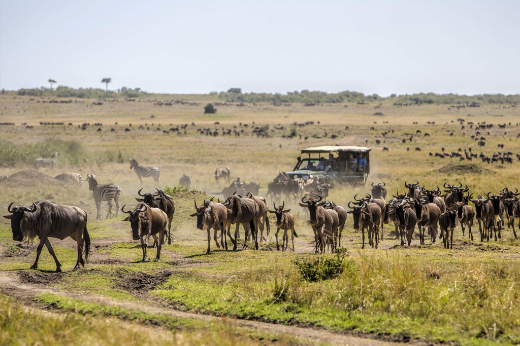 5-days-masai-mara-safari-holiday