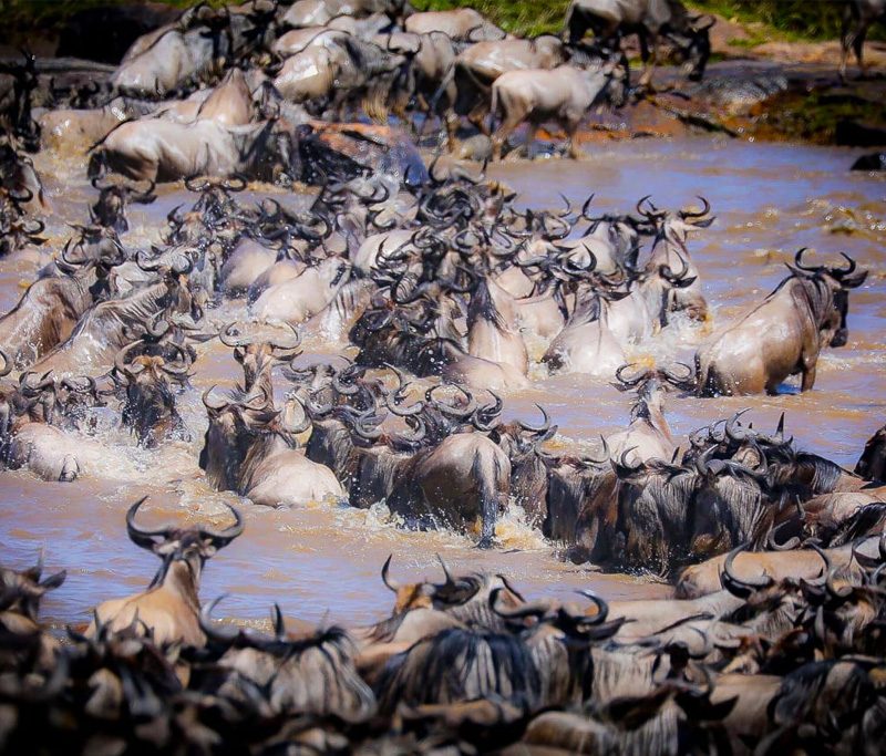 9-days-kenya-tanzania-great-migration-luxury-safari