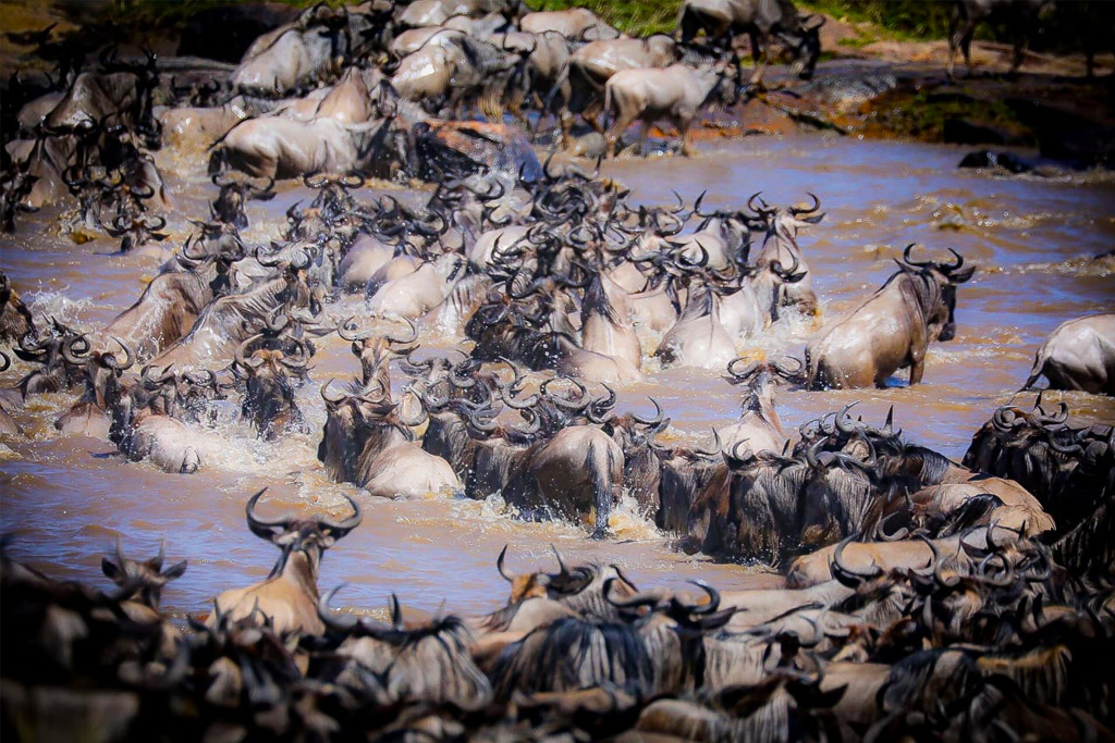 9-days-kenya-tanzania-great-migration-luxury-safari